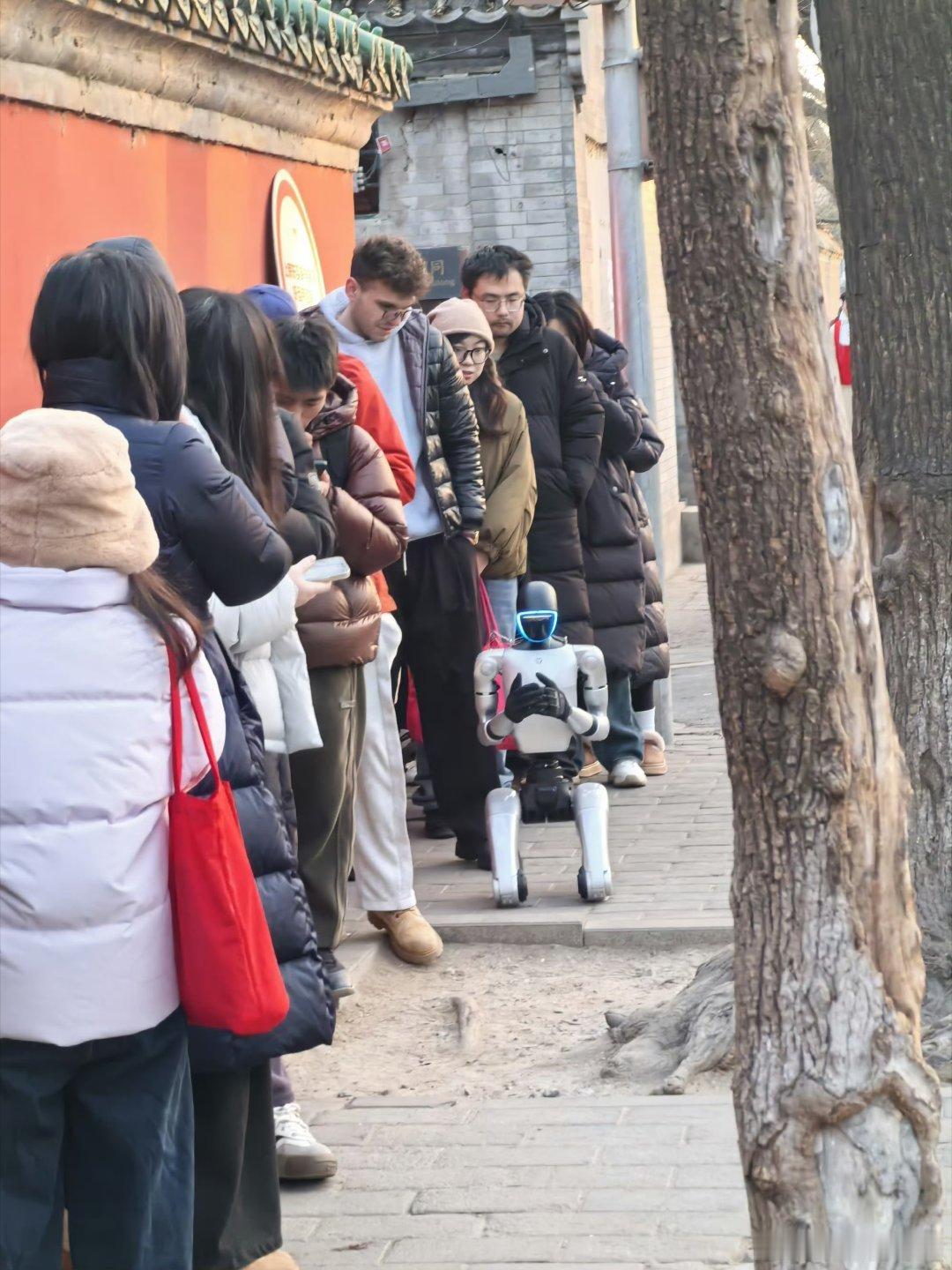 第一个活人化机器人出现了端粥递福超稳，许愿神情比我还虔诚，活人感拉满。路人扎堆打