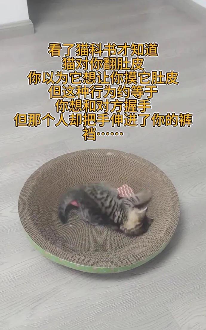 [捂脸][捂脸][捂脸]