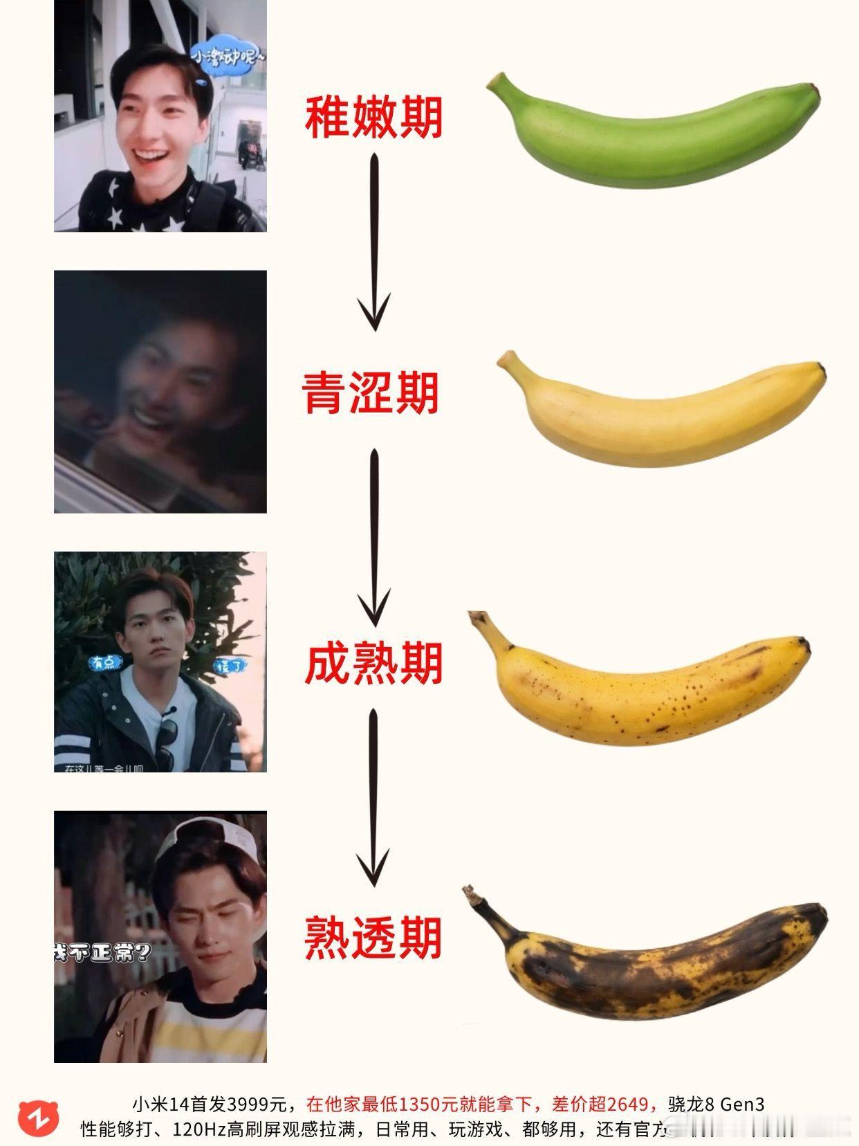 花少2名场面：杨洋的四个时期。杨洋 花少2 花儿与少年 井柏然 毛毛姐 ​​​