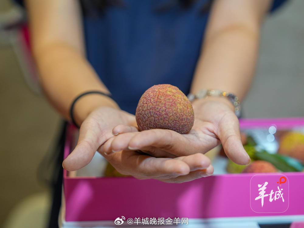 【给“荔”！“广货行天下”#2026广东荔枝嘉年华#今日启动】 #廉江中国荔枝出