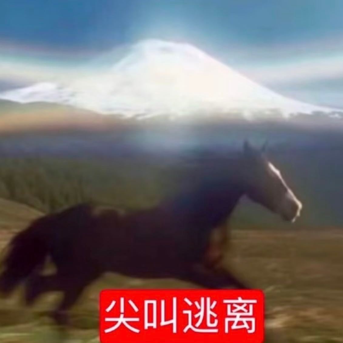 人老了追星都心酸不要再攻击我了，不允许！明明我是因为追星才变成了厉害的女人，人老