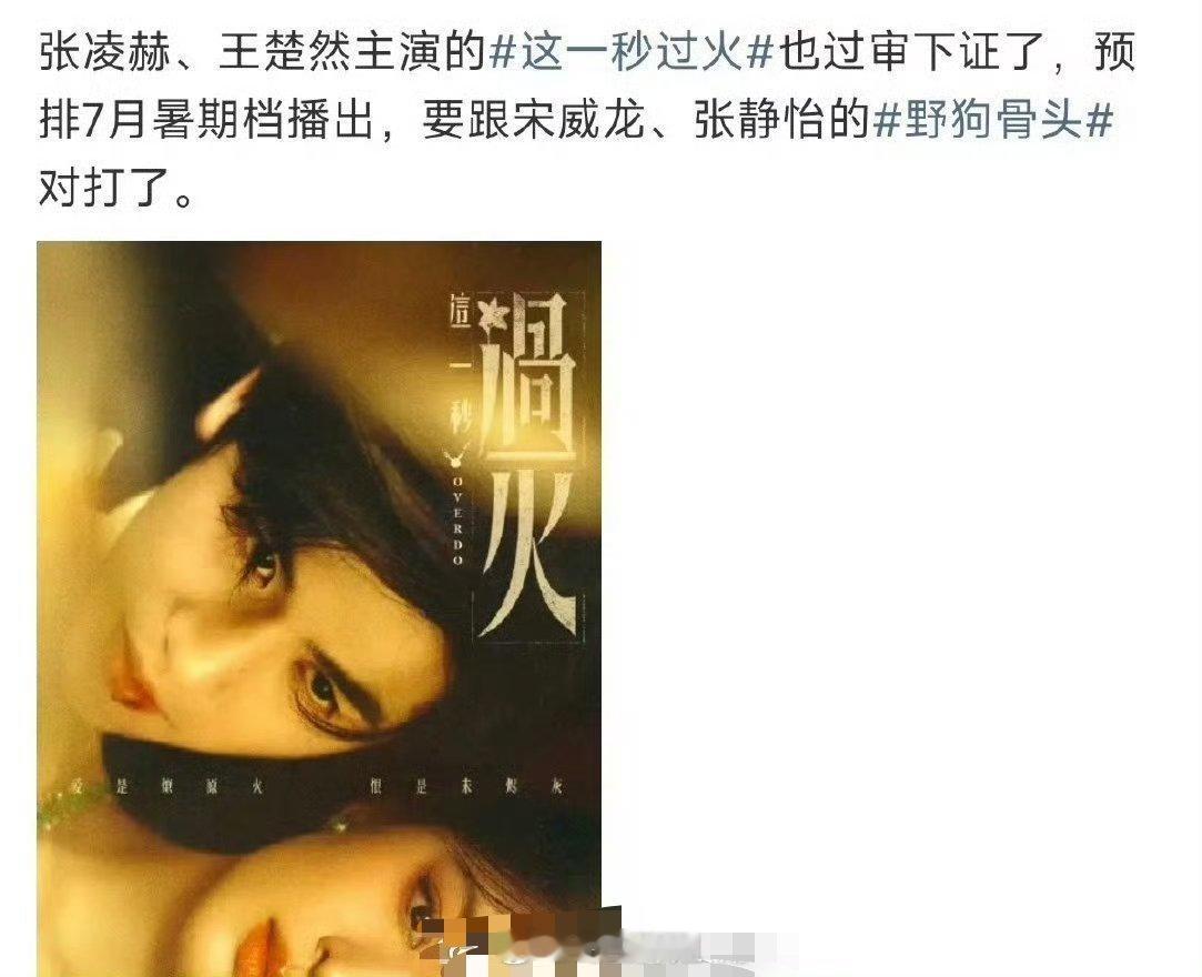 张凌赫跟王楚然主演的《这一秒过火》正式下证了，好像是个挺不错的题材呢，你期待看到