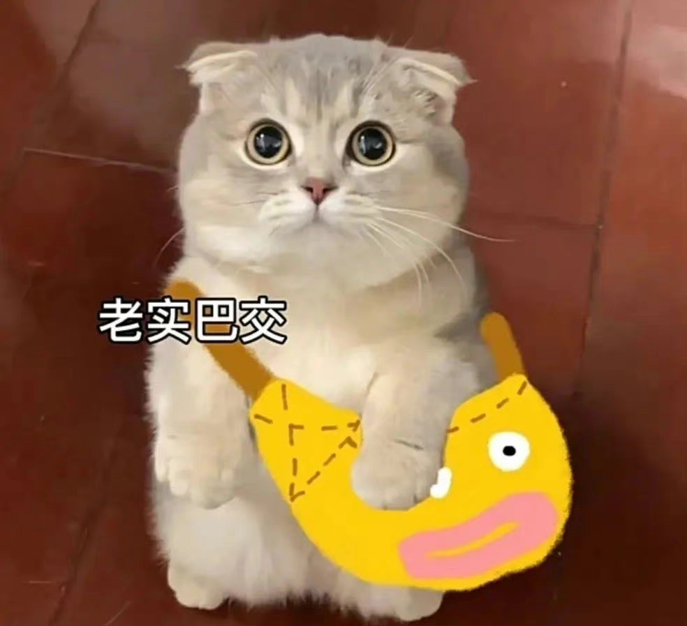 宣发来了，点一下👍🏻网页链接