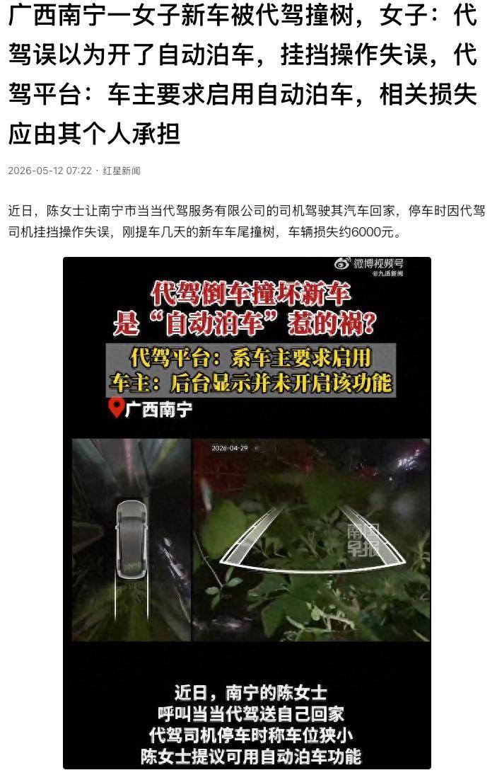 “这不耍赖皮吗？”广西南宁，1名女子刚提了几天的新车，被代驾倒车时一把撞在树上，