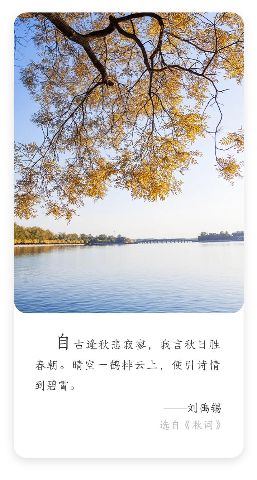 当第一缕凉风轻拂过光岳楼的飞檐，聊城的秋天便悄然归来了。
东昌湖的波光里，多了几