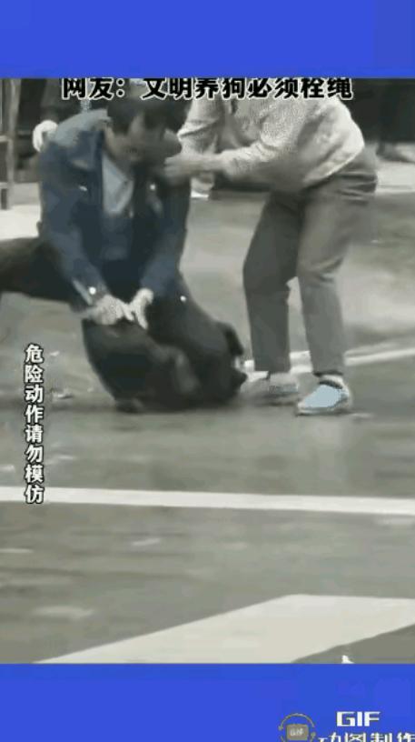 5 月 29 日，血染街头！大妈遛狗不拴绳，大狗疯咬路人手臂。大哥被咬后做出惊人