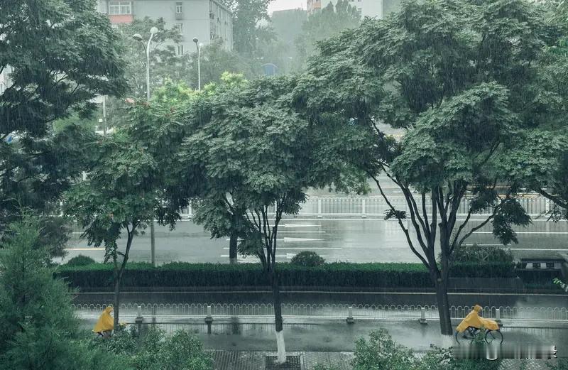 现在
大雨
已经来到
没想到这么快
我刚放下手机
就听见窗外的雨声大作
雨势
从