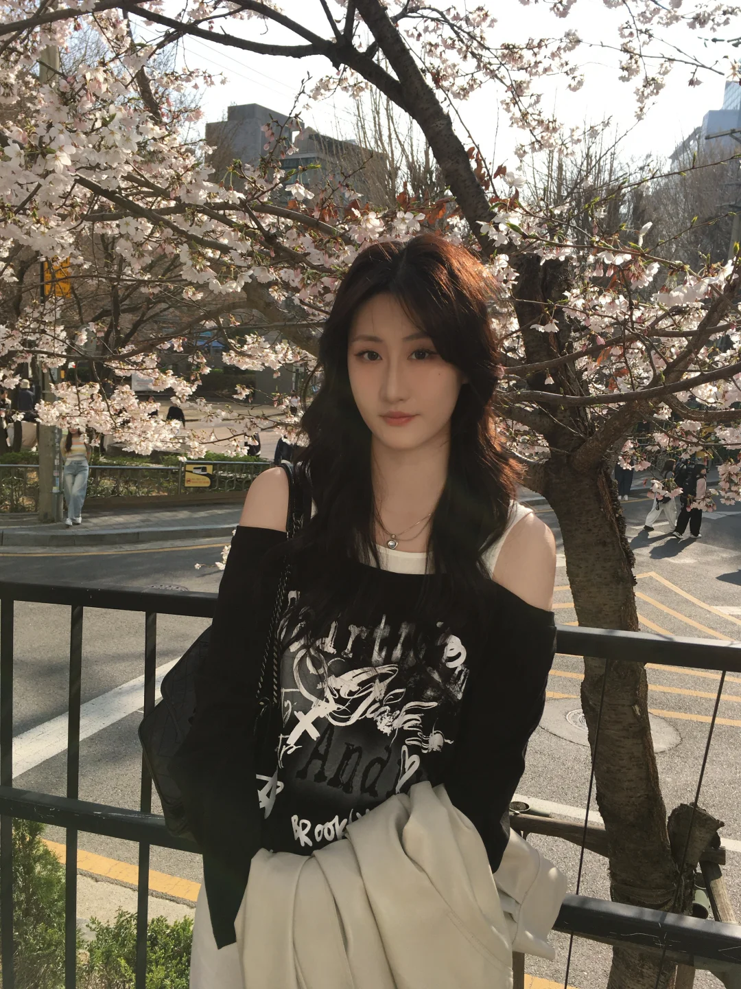 樱花季着实太美