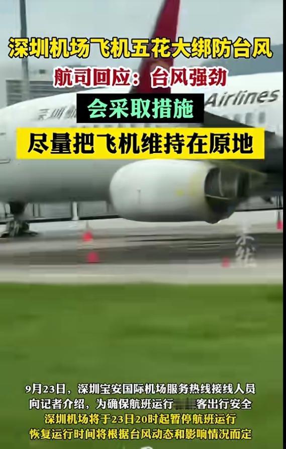 可以考虑在台风到来之前，在飞机飞到其他机场。