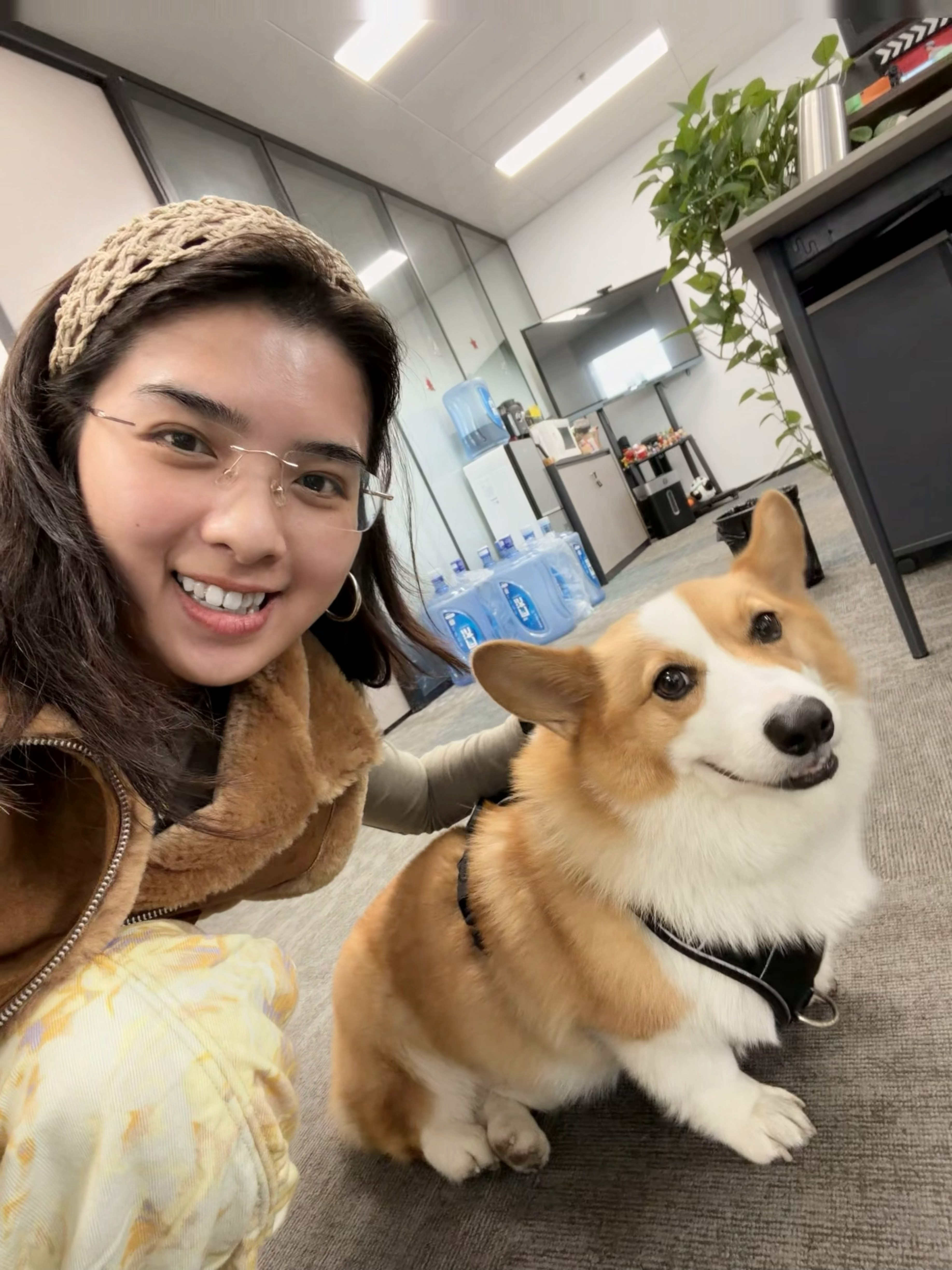 好了，今天小助理我又不出差了，给大家看看公司的小狗，它叫蛋蛋[doge] ​​​