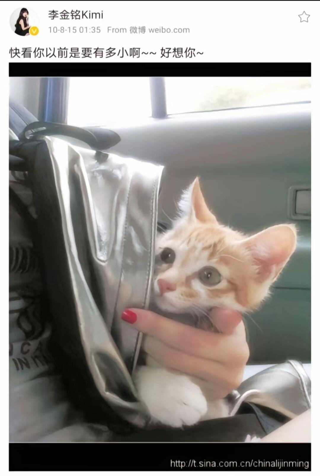 微博之夜这张脸是神的杰作 【李金铭】我一口盐汽水喷死你时期的小萌物 