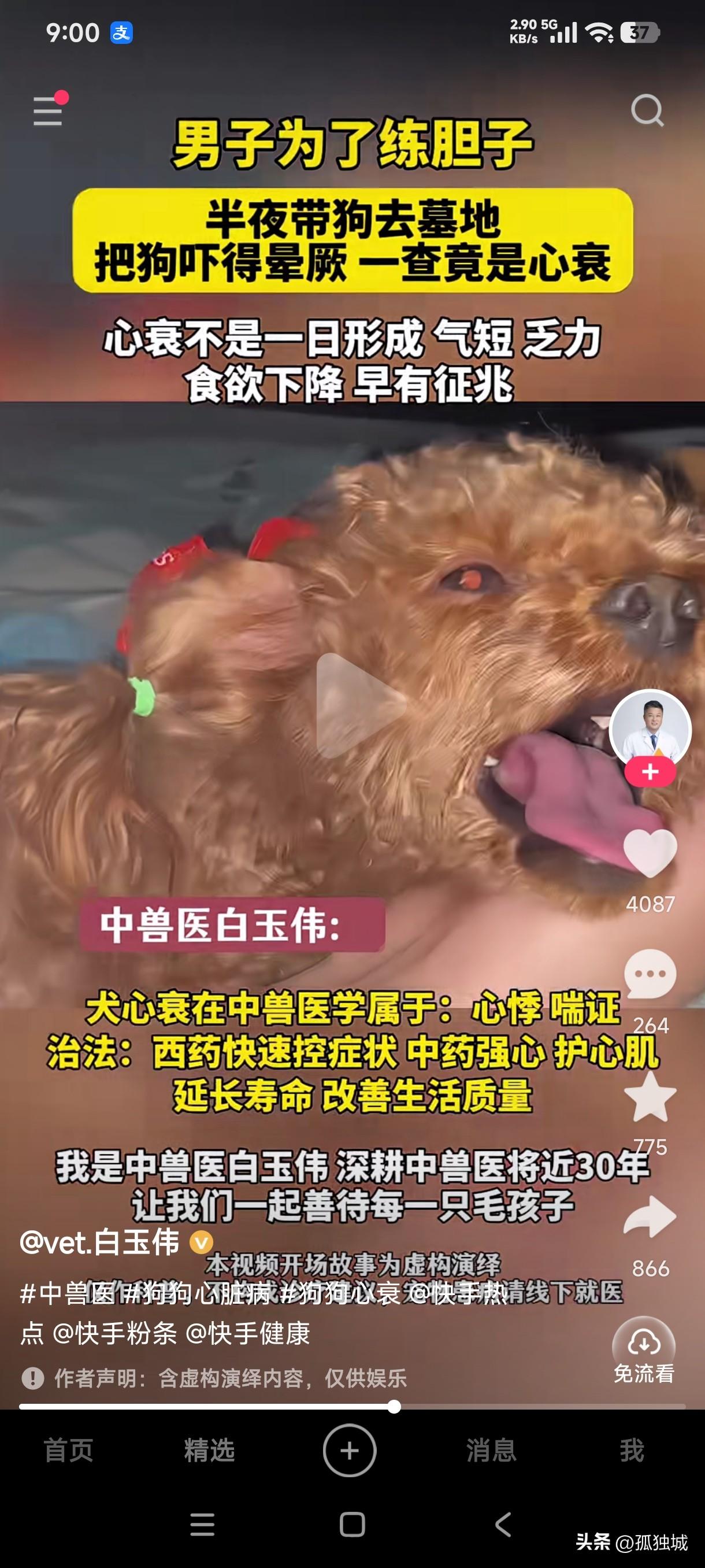 男子为了练胆子，半夜把狗带去墓地，居然把狗吓的晕厥，检查后得知是心衰，这是把狗子
