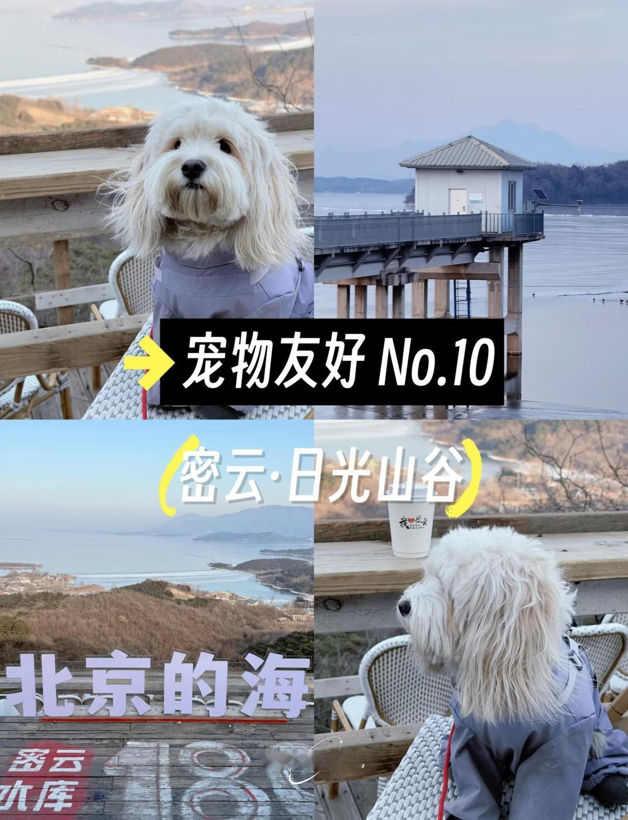 密云日光山谷 | 带狗徒步看小千岛湖全攻略
日光山谷位于密云水库南线
环境开阔空