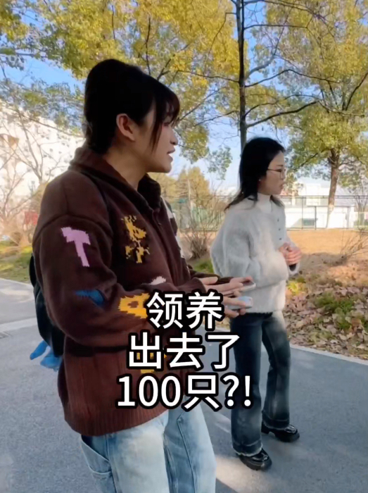 流浪猫咪太难管理？公益组织成本太高？南航大学生们直接给全校流浪猫安排上了“电子学