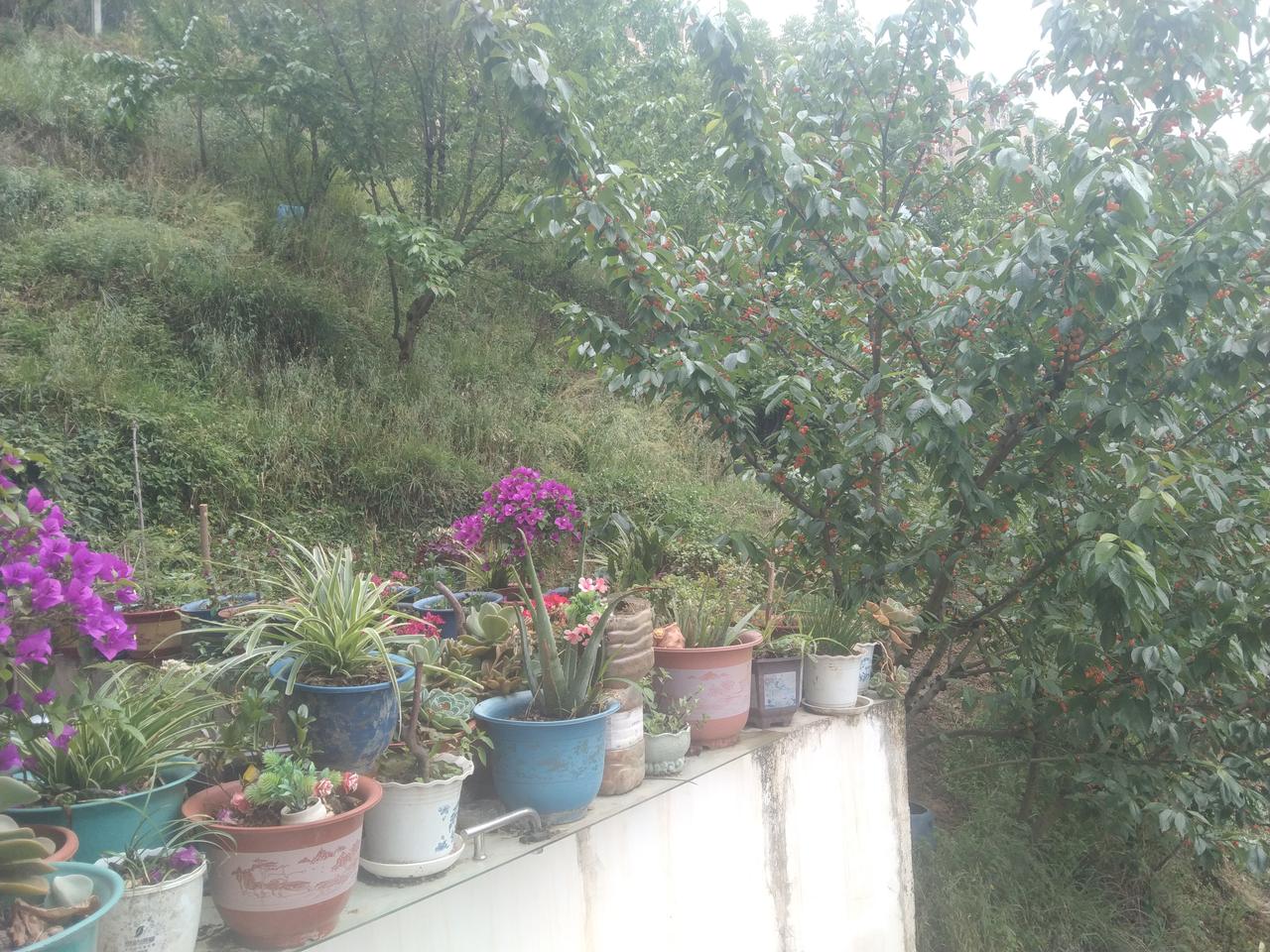 特朗普:伊朗没准备好，我决定延期会谈
伊朗:将收过路费