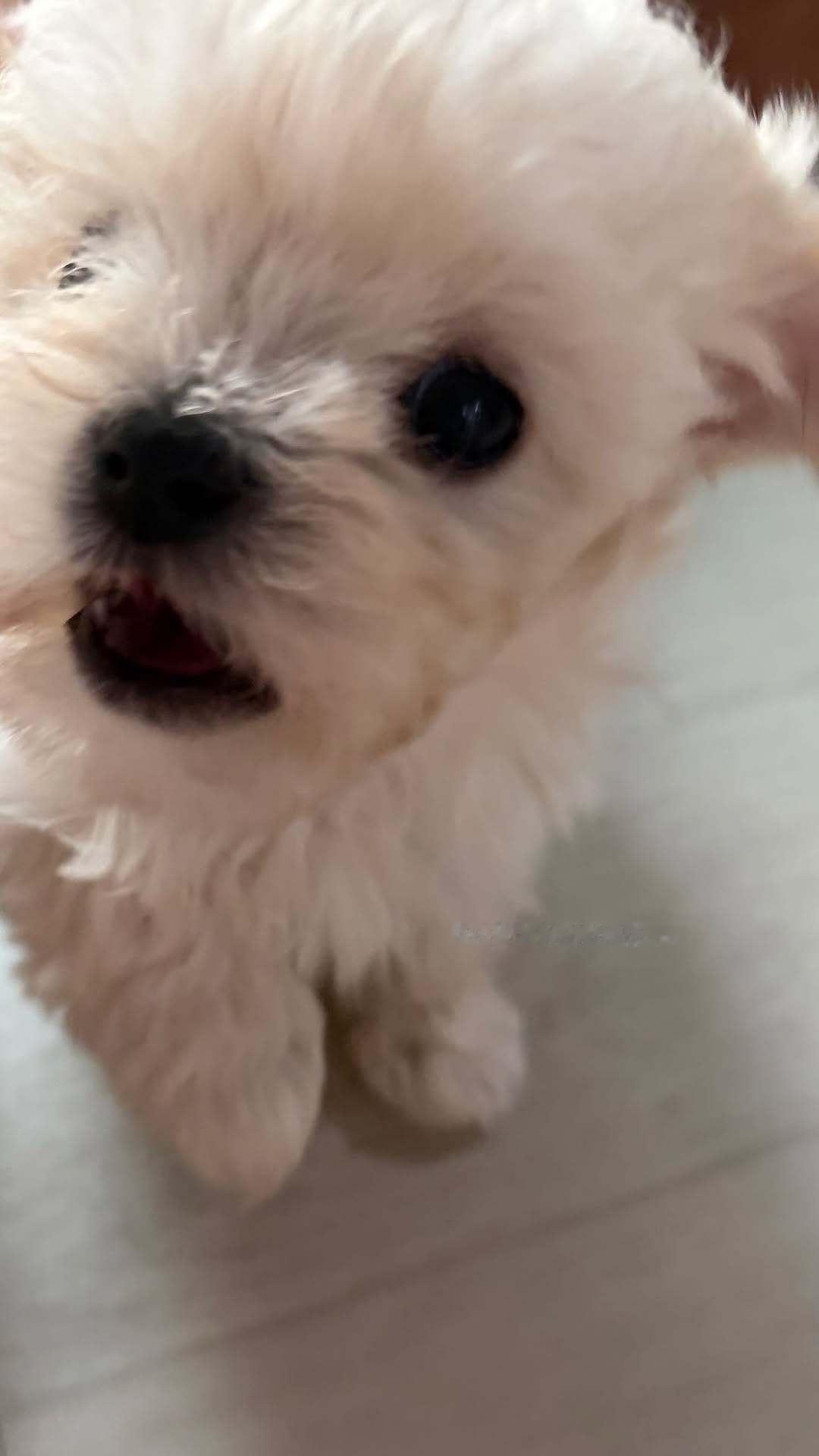波妞咋这么萌呢😚 
