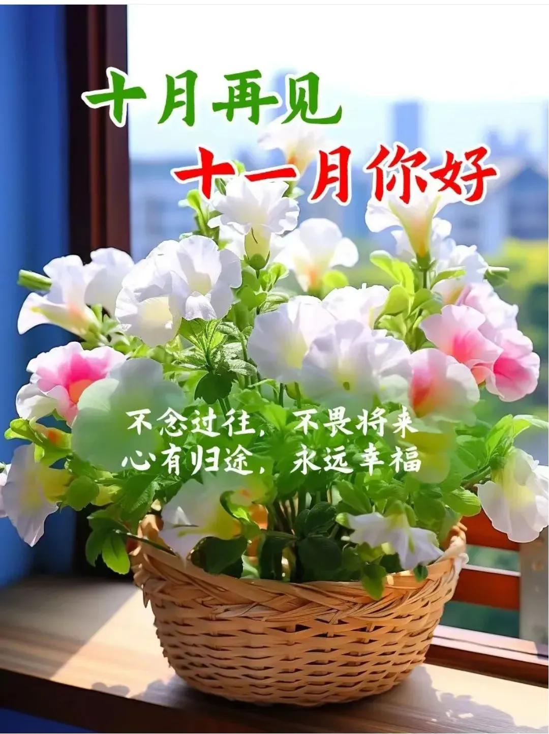 十月再见，十一月你好
相信世间所有的告别
都是为了更好的相遇