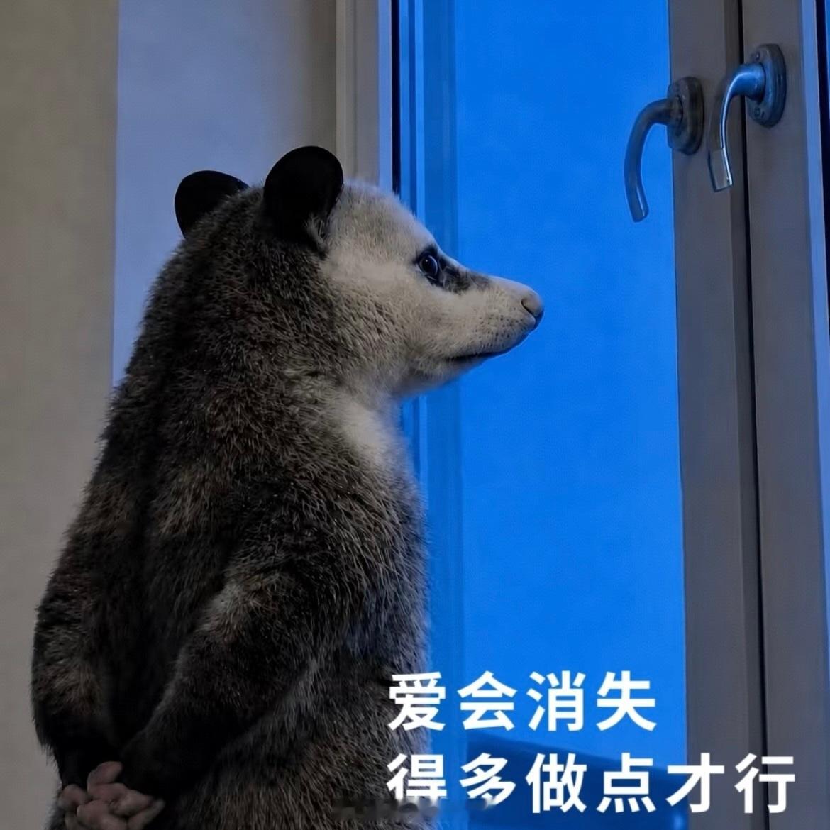 “一切都释然了 我要更好的过自己的生活” 
