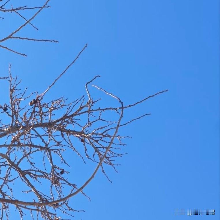 马上就要到2026年的新的一年了，因为2026年是马年，所以祝福我们马到成功