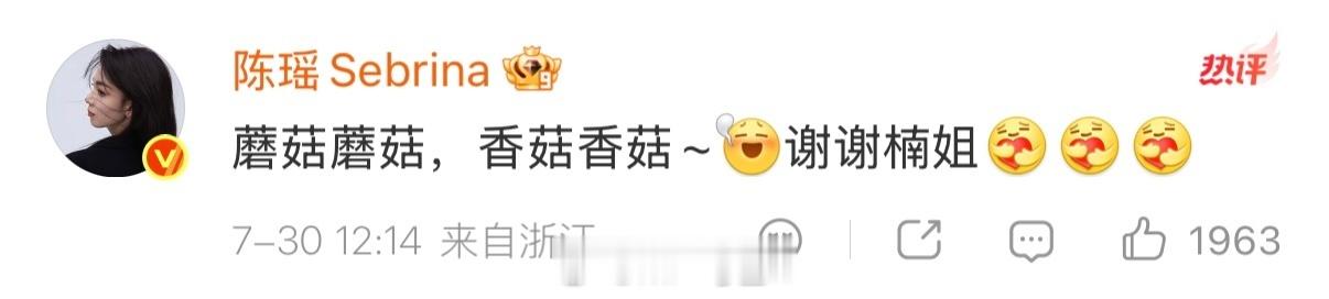 陈瑶九门回复新剧《九门》开播，陈瑶回应霍仙姑角色相关讨论，分享对人物的理解。同时