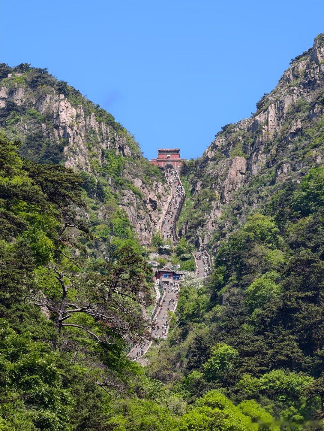 早安早安同过往遗憾和解，专心走好眼前的路。持续沉淀，默默积累，一路向前，终会绽放