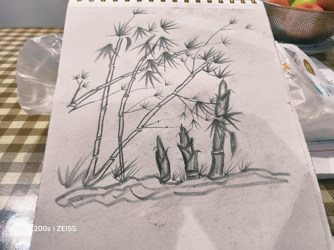 原创随笔竹林中的竹笋破土而出。