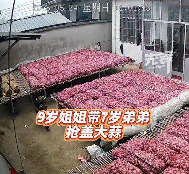 5月24日的江苏邳州，天色突变，一场大雨眼看就要砸下来。这可急坏了在外干活的蒜农