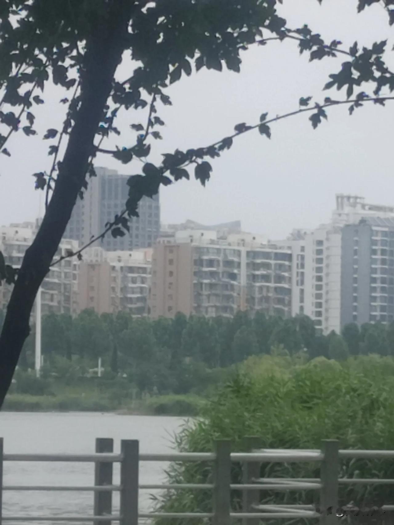 祊河边的宁静与和谐，雨后的安逸，寻找内心的安静。雨后河边的美景
