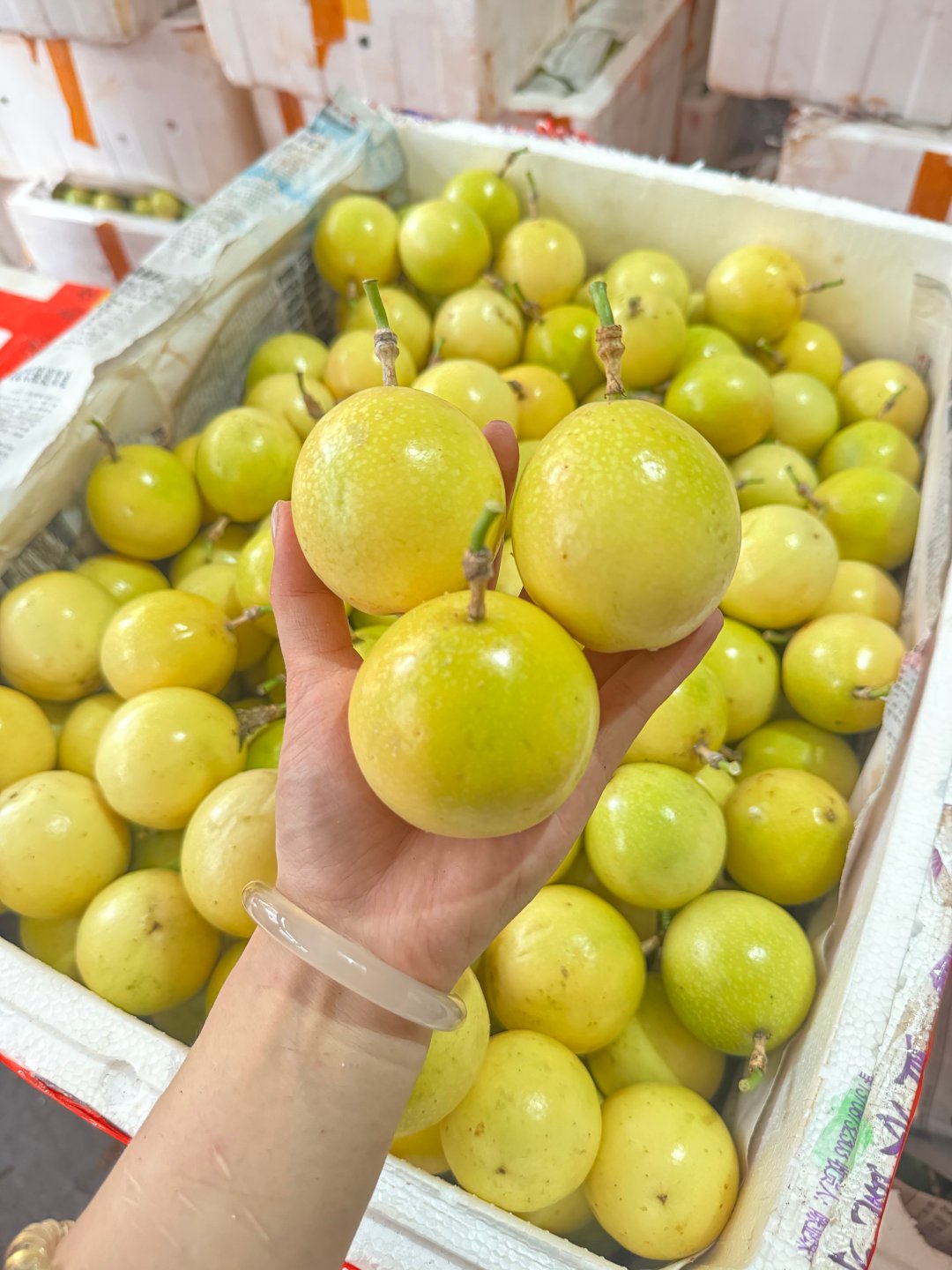 钦蜜9号百香果 熟果发货