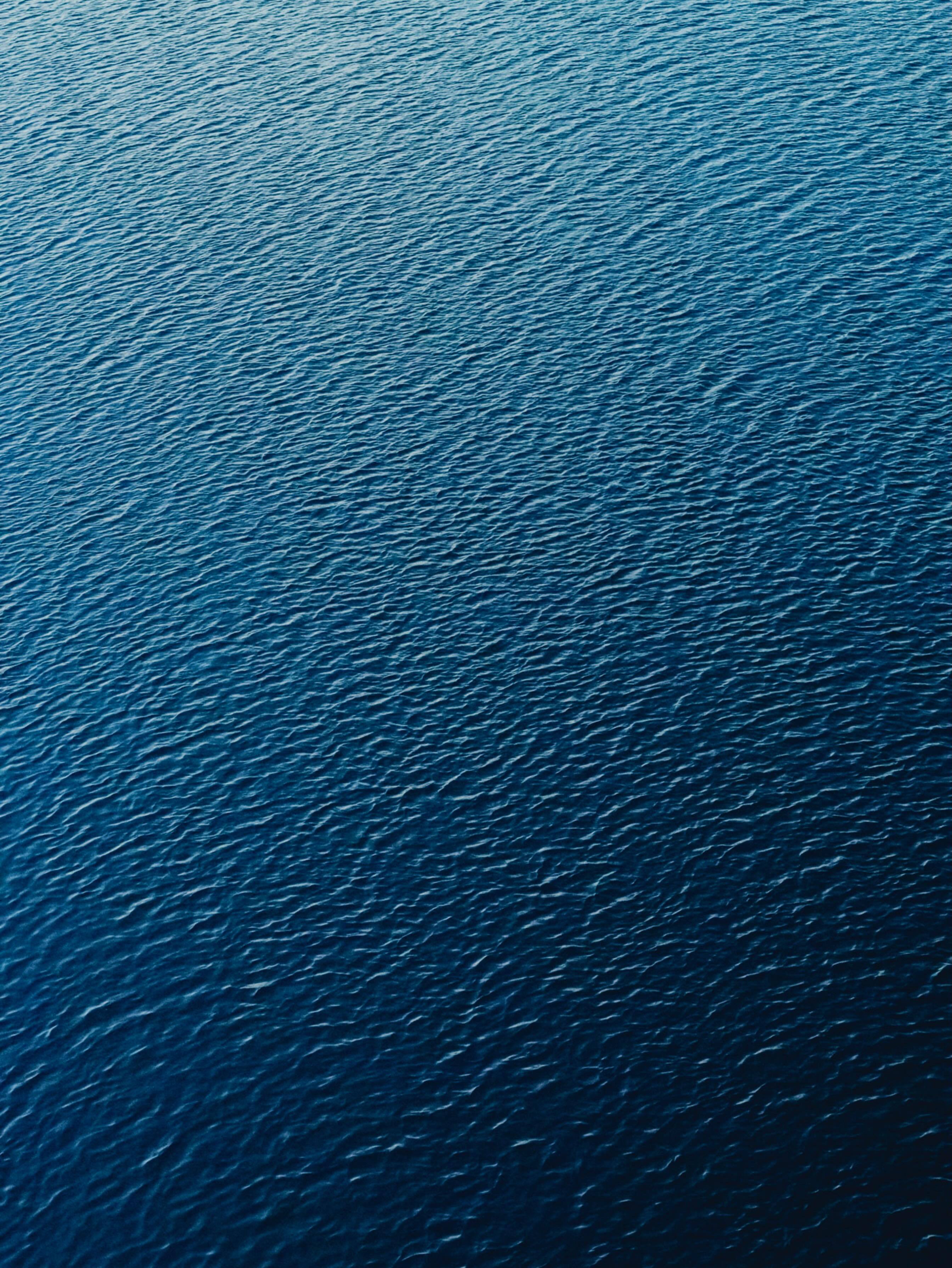 蓝色的夏 