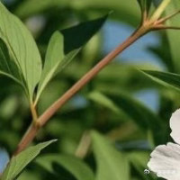 生活手记🍓把烦恼归于过往，把期待留给未来心有暖阳，何惧世事无常  🦋 