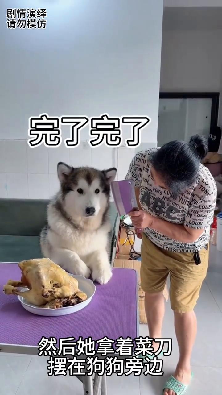 狗狗偷吃烧鸡遭到主人的惩罚，这一幕真的太搞笑了。
狗狗趁主人去厨房偷吃烧鸡，这时