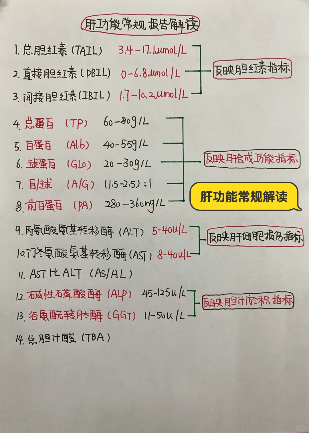 今日学习打卡——肝功能常规解读