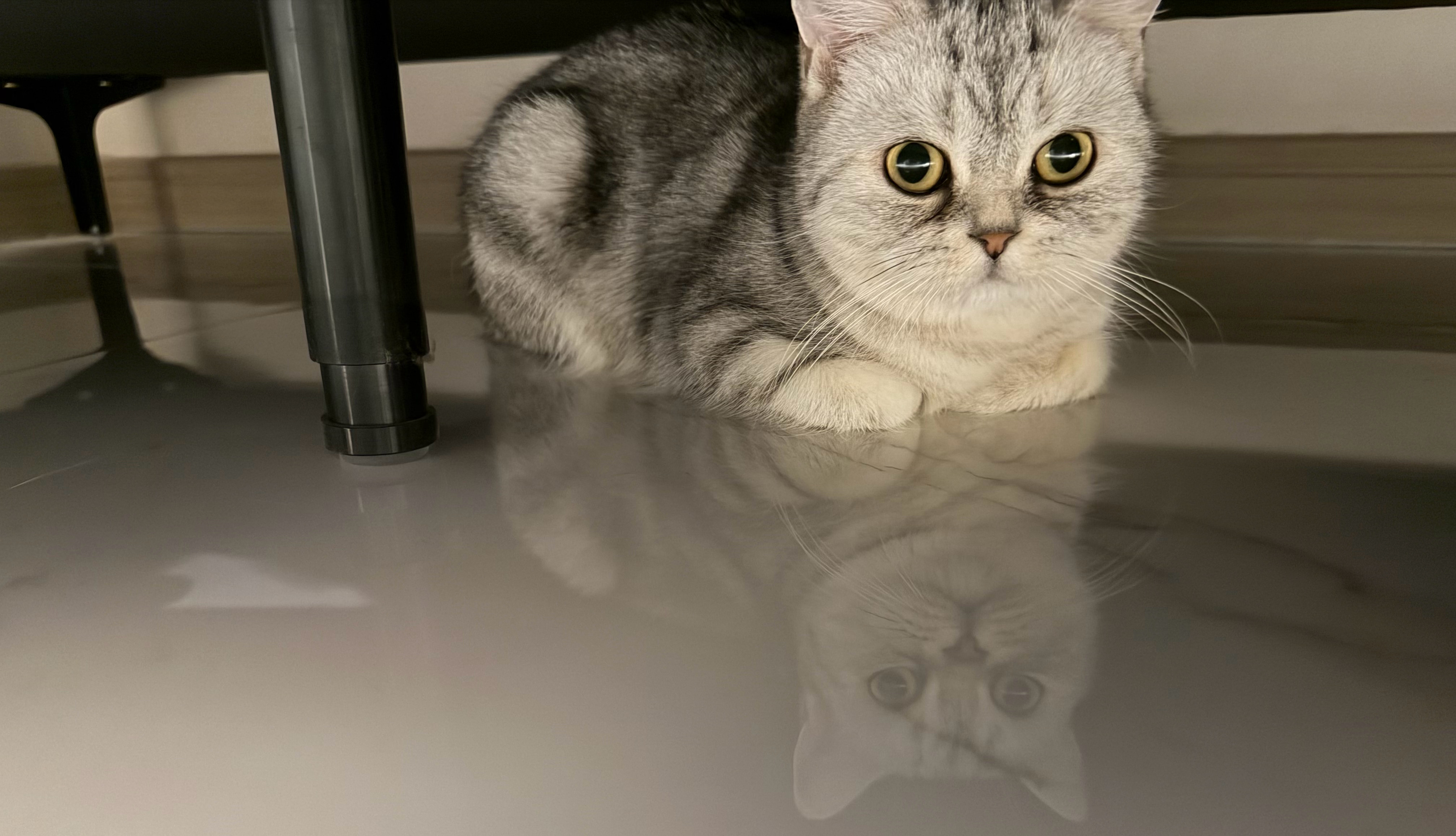 元旦假期大家都干啥了，让我羡慕羡慕我这几天都在家里陪我的冰冰宝贝