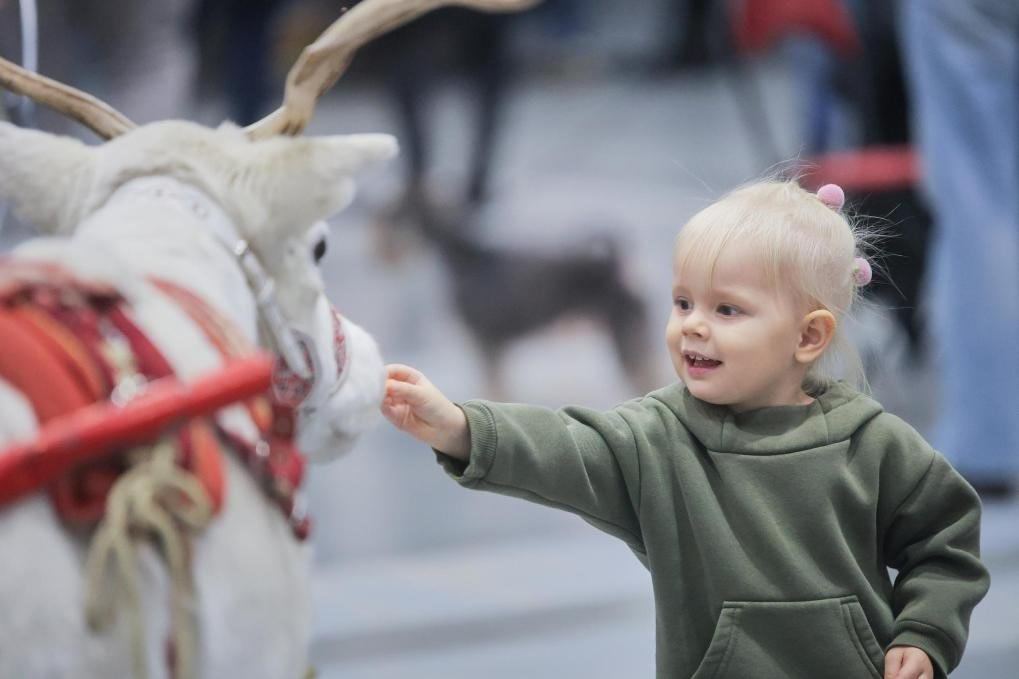 临近岁末，俄罗斯多家团体评选出本国2025年度热词，“胜利”、“神经网络”、“人