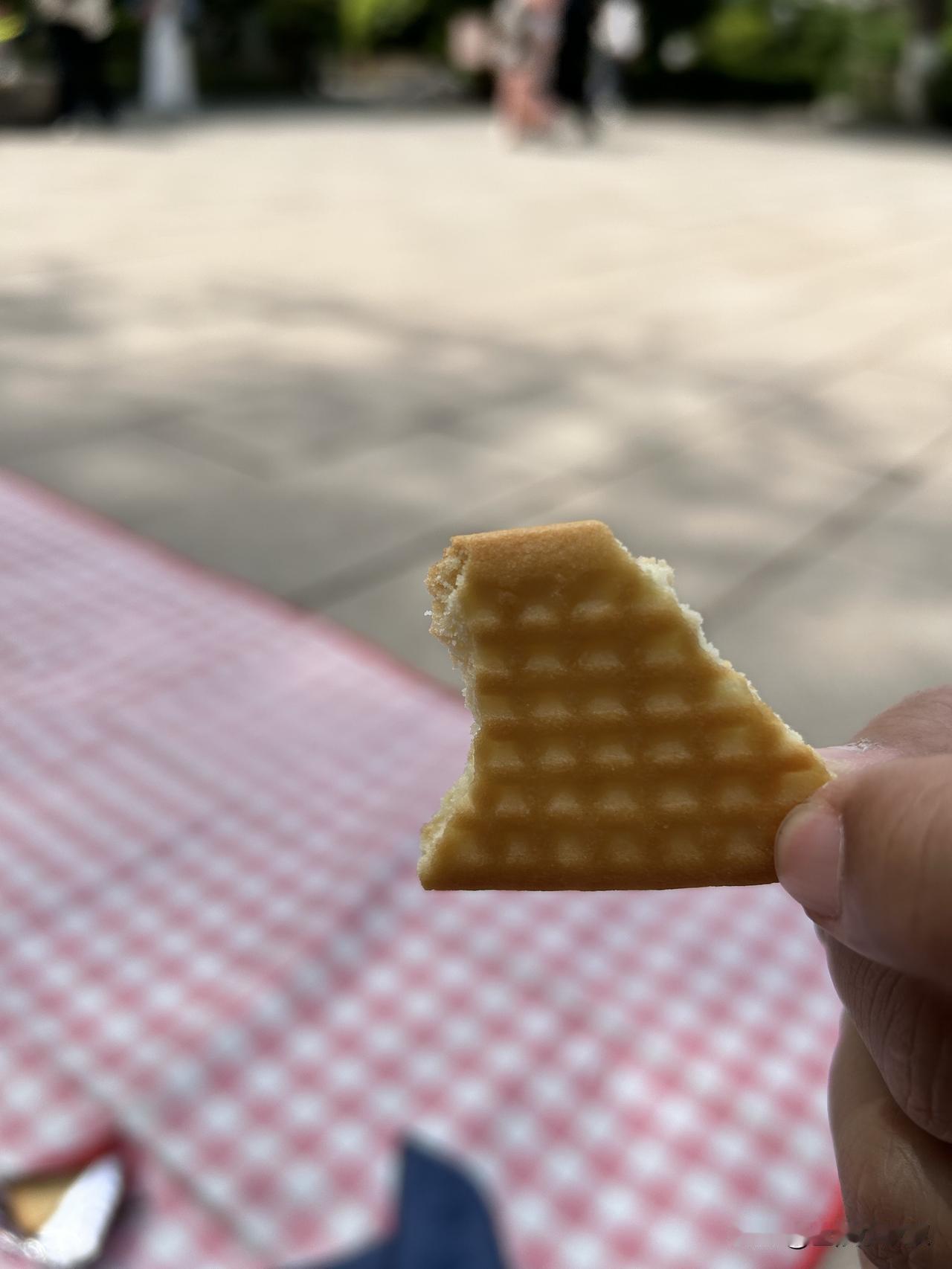 老葛家后继有人了！

今天一家人去了五龙潭公园，孩子们看到人山人海的公园，就没了