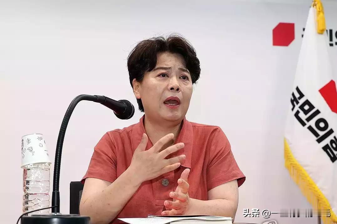 韩国国民力量党改革委员会成立仅四天，便因接连推出革新方案引发党内矛盾激化。7月1