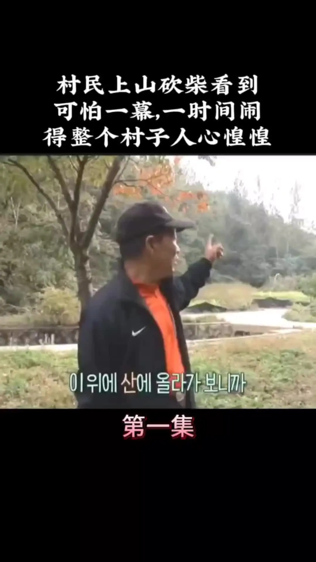 我的观影报告 内容启发搜索
