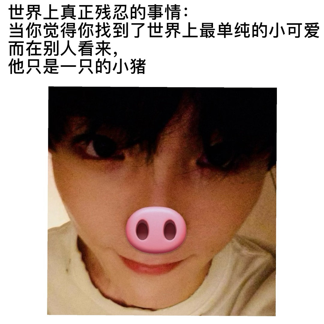 只是一只小猪苏新皓