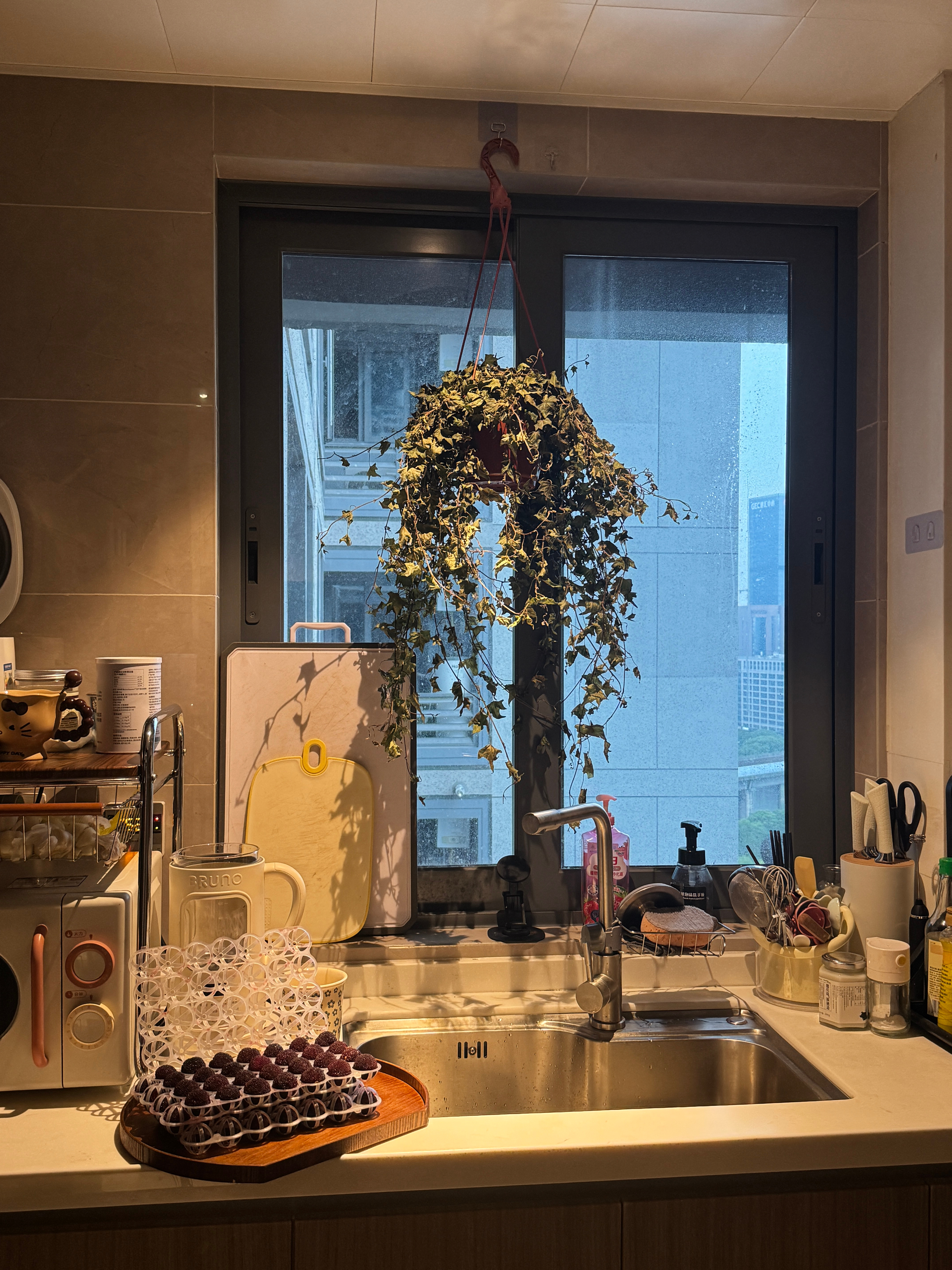 我很喜欢我家厨房，窗外的景色也好看的但是这个角度拍不出来。厨房就是这个打光搭配一
