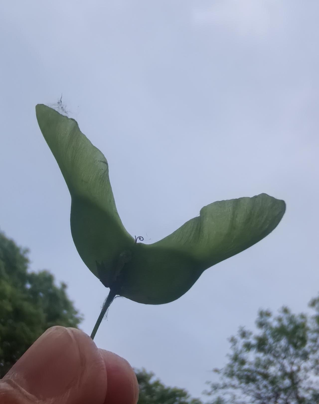 无解的货币互换
如何破解美元霸权问题？世界找到了一个令美国抓狂的办法——货币互换