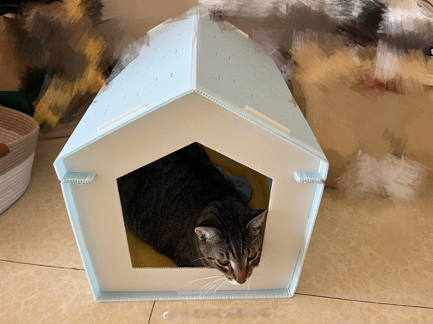 给孩子用上了加固猫堡[喵喵] ​​​