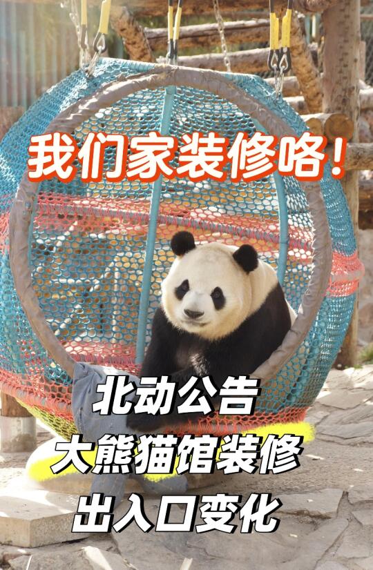 【北动公告】大熊猫馆装修，出入口调整