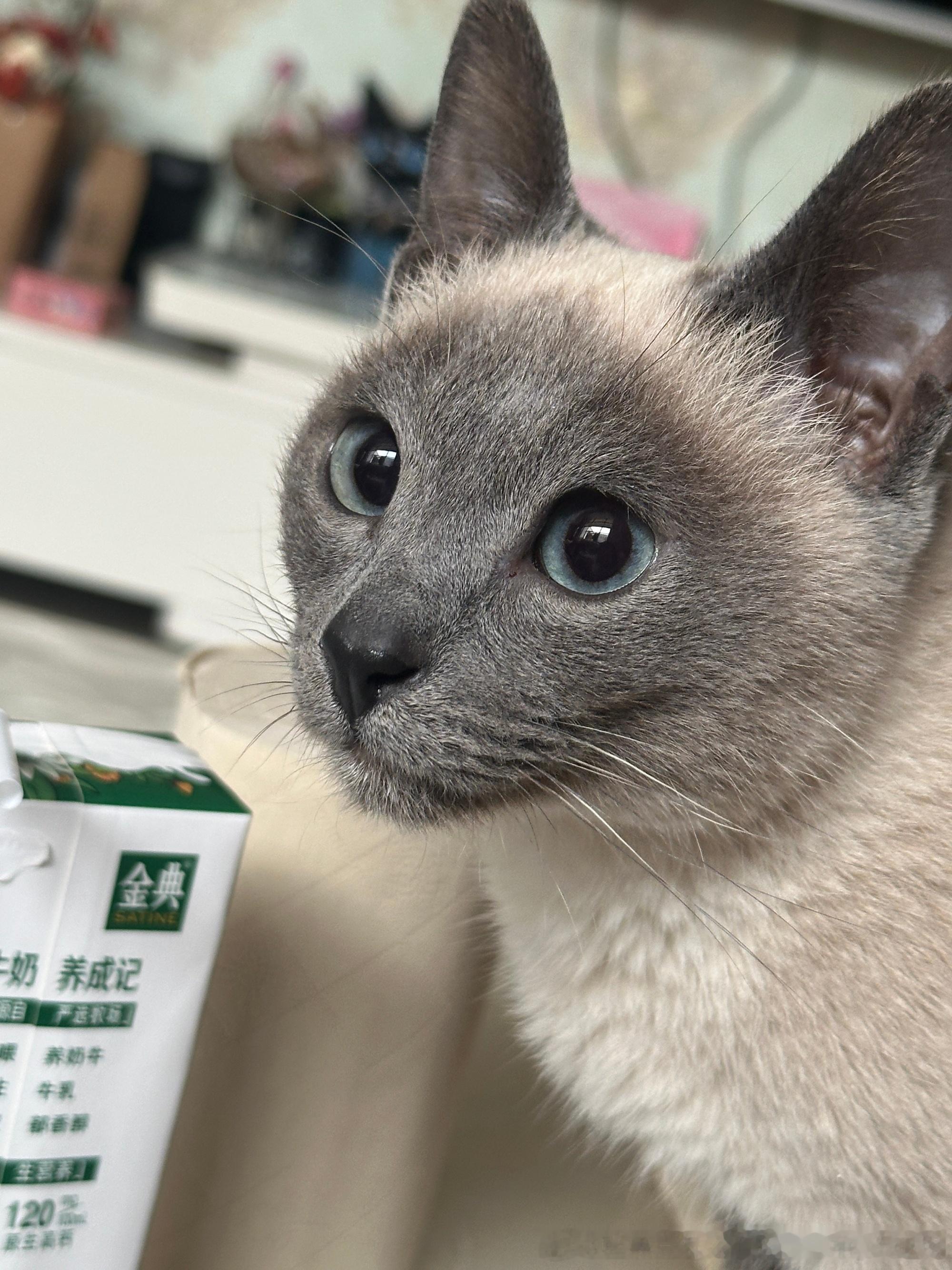 3861只黑脸孩子真褪色了