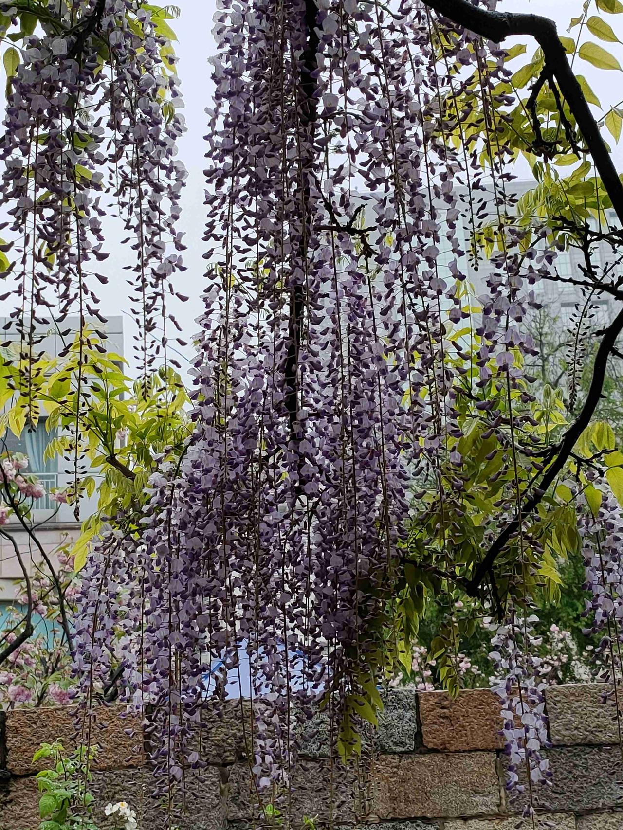 我的今日状态：🏝️旅行度假
我这里的天气：🌤️多云