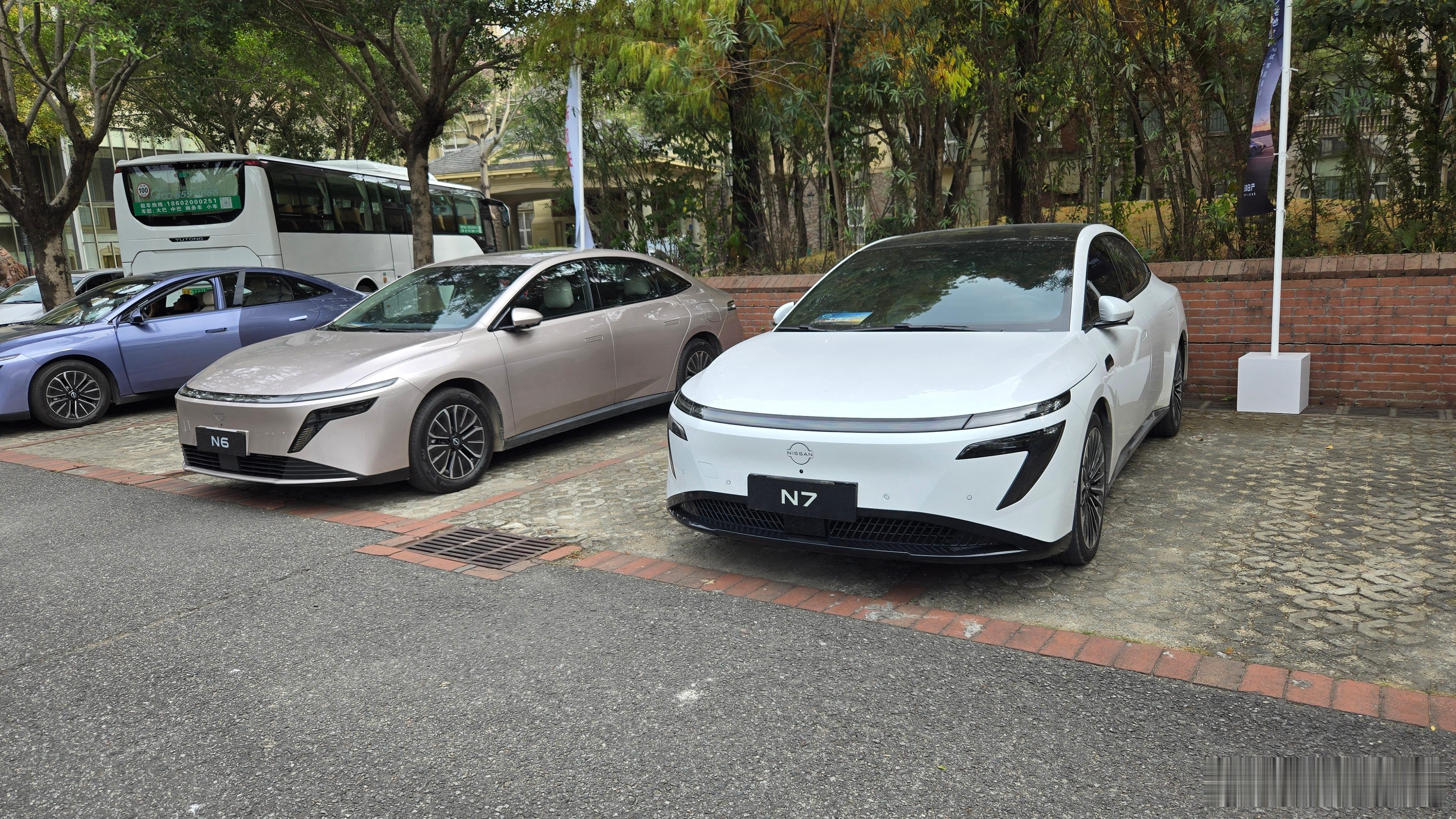 兄弟俩其实挺好认的对吧看眼睛就行了