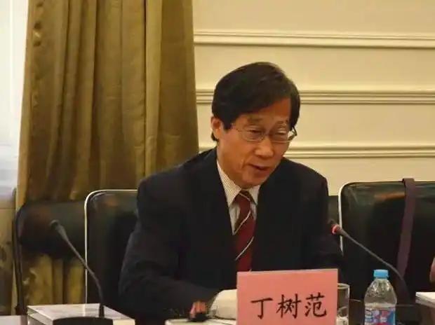 台湾大学教授丁树范曾表示“如果大陆强制性的坚持一国两制，国民党或许会选择拒绝接受