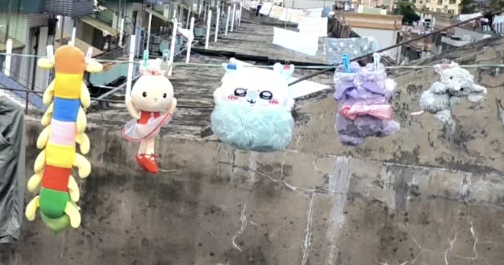 老鼠洗澡轻断食的一天23384 