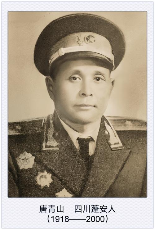 开国少将唐青山在中国人民解放军中的最高职务是沈阳军区司令部顾问，离休时享受副大军