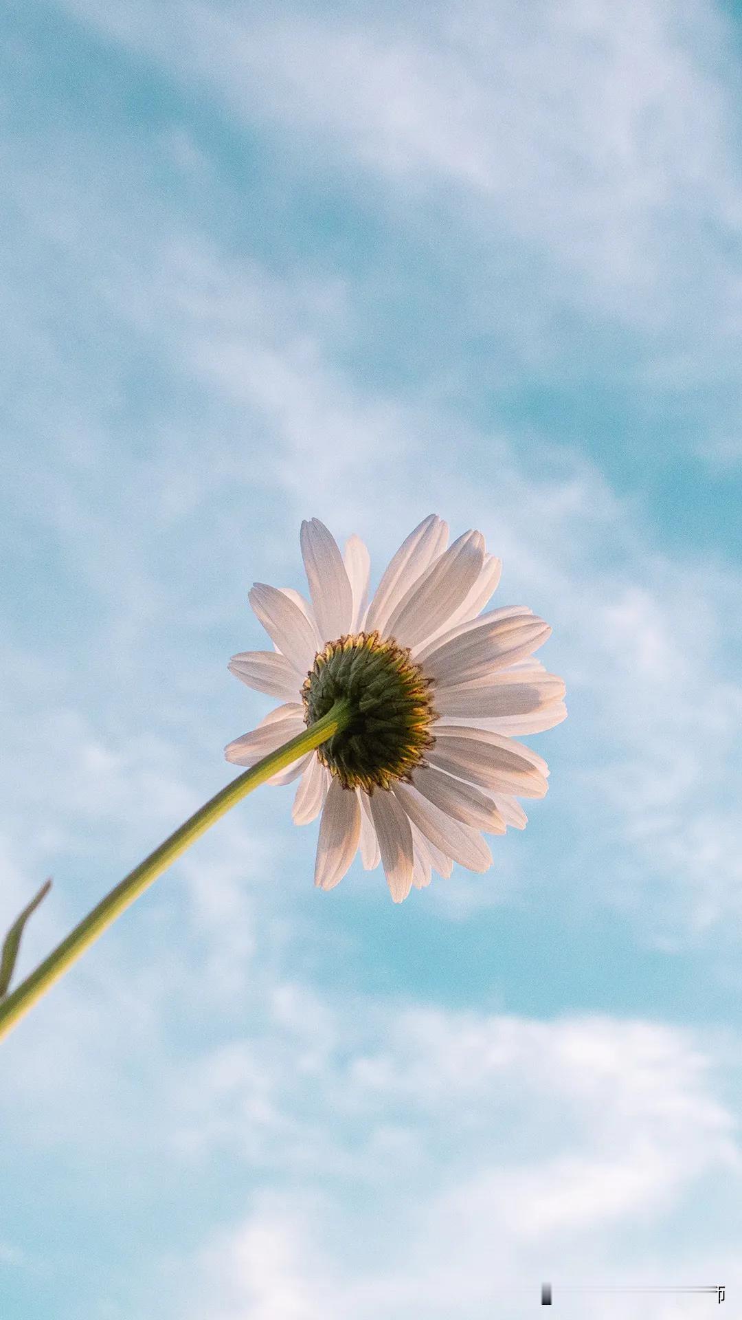 父亲给你说过最难忘的一句话是什么在单位里，一个血淋淋的人际关系：不要去得罪一个快